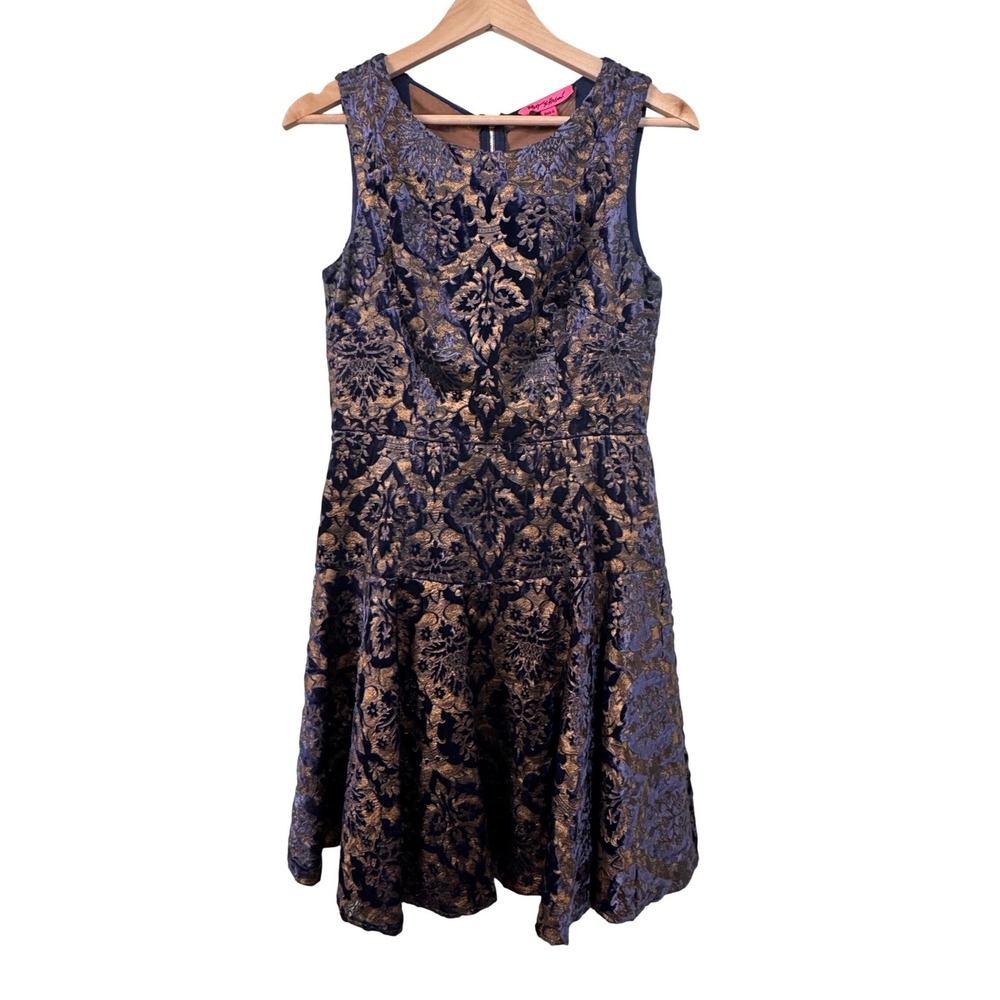 Betsey Johnson Navy Gold Velvet Burnout Mesh Back Whimsigoth Fit & Flare Dress 6